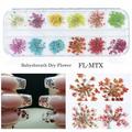 Nail Crystals Nail Decorating Kit Nail Art Rhinestones Spring and Summer 2022 Fashion 12 Box Nail Dry Flower Jewelry 6 Japanese Women s Fashion Nail Enhancement Flowers Multi-color