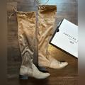 American Eagle Outfitters Shoes | Ae Outfitters Over-The-Knee Boot | Color: Brown | Size: 10