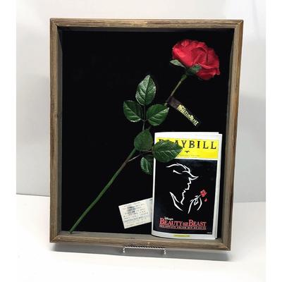 Disney Art | Beauty & The Beast Broadway Musical Memorabilia Shadow Box Rose Playbill Ticket | Color: Black/Red | Size: 17"