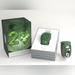 Disney Jewelry | Disney Parks Le 750 Pin Traders 20th Anniversary Magicband Nwt | Color: Green | Size: Os