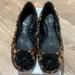 Jessica Simpson Shoes | Jessica Simpson Flats Animal Print W/ Crystal | Color: Black/Brown | Size: 8.5