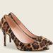 J. Crew Shoes | J. Crew Collection Elsie Calf Hair Pumps | Color: Black/Brown | Size: 8