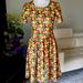 Lularoe Dresses | Cute As A Button. Amelia Dress With Apples And Kiwi. | Color: Green/Yellow | Size: Xs