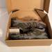 Columbia Shoes | Columbia Sportswear Men’s Fishing Shoes, Style Bm4215-364, Size 9.5, Like New | Color: Gray/Orange | Size: 9.5