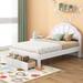 Full Size Upholstered Platform Bed with Seashell Shaped Headboard, LED and 2 Drawers