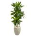 HomeStock Antique Appeal 4Ft. Dracaena Artificial Plant In Sand Colored Planter (Real Touch)