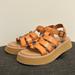 American Eagle Outfitters Shoes | Nwot American Eagle Gladiator Sandals | Color: Tan | Size: 8