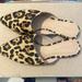 Madewell Shoes | Madewell Flat Mules In Calf Hair. Animal Print. Size 8. | Color: Tan | Size: 8