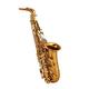 KERREY E Flat Alto Saxophone Champagne Gold For Beginners student saxophone beginner