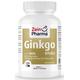 Zein Pharma Ginkgo Biloba 5000, 100mg - 120 caps