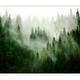 murando Photo Wallpaper Forest Fog 147x105 cm Peel and Stick Self-Adhesive Foil Print Wall Mural Wand Nature Landscape Scandinavian c-B-0533-a-b