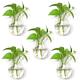 5 Packs Wall Hanging Planters Glass Plant Pots Water Plant Containers Glass Flower Pots Wall Hanging Glass Planters Plant Containers Hanging Planters Air Plant Terrariums Glass Terrarium