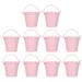 Delaman 10PCS Flower Pot Flower Pot Mini Succulent Plant Pot Small Metal Bucket for Indoor Outdoor Decor(Pink)