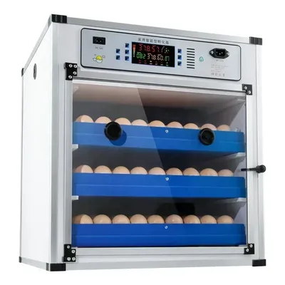 Incubateur à œufs automatique édition électrique pour touristes pour éclosion d'oeufs de caille
