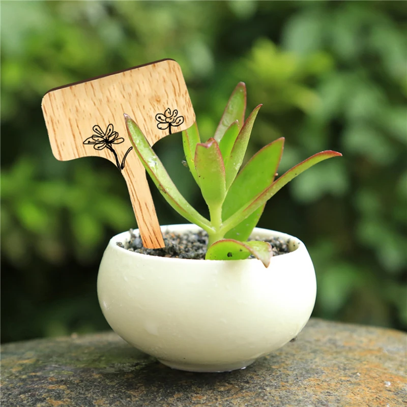 50 Stück T-Typ Bambus Pflanze Etiketten umwelt freundliche Holz pflanze Zeichen Tags Garten Marker für Bonsai Samen Topf Kräuter Blumen Werkzeug Image