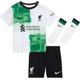 Nike Unisex Baby Minikits Lfc I Nk Df Kit Aw, White/Green Spark/Black, DX2817-101, 12-18