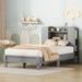 George Oliver Kahliyah Open-Frame Bed Metal in Gray | 43.5 H x 39.7 W x 85.6 D in | Wayfair E9D3D80B585C40CBB635C0B6A5152505