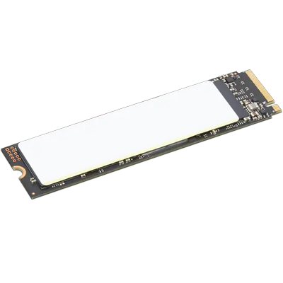 ThinkPad 2 TB Performance PCIe Gen4 NVMe OPAL2 M.2 2280 SSD