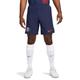 Nike Herren Shorts PSG M Nk Dfadv Match Short Ha, Midnight Navy/University Red, DX2630-410, S