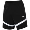 Nike Herren Shorts M Nk Df Icon+ 8In Short, Black/Black/White/White, DV9524-010, 3XL