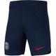 Nike Unisex Kinder Shorts PSG Y Nk Df Stad Short Ha, Midnight Navy/University Red, DX2789-410, XL