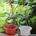 Cheer.US 2 Sets Plastic Hanging Flower Plant Pots Chain Basket Planter Holder Round Hanging Fence Railing Wall Planter Plant Container for Outdoor Indoor Plants Home Garden Balcony Decoration