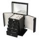 Large Mirrored Jewelry Box with Drawers Jewellery Box with Lock Jewelry Glass Jewellery Box,4/5/6-Tier Large Jewelry Case with Drawers Mirror Organiser for Rings, Necklaces,etc (5-tier Black)