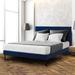 Wrought Studio™ Imajean Frame Bed w/ Headboard Metal in Blue | 42 H x 60 W x 81 D in | Wayfair 20B493C363AD4046B020220287D6C85B