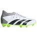 Youth adidas White Predator Accuracy.3 FG Cleats