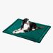 Tucker Murphy Pet™ Mckoy Soft Waterproof Dog Bed Mat/Pad Polyester in Green | Medium (32" W x 24" D x 1" H) | Wayfair