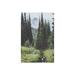 Millwood Pines Garibaldi Provincial Park, Canada I On Plastic/Acrylic Print Plastic/Acrylic in Black/Green | 24 H x 16 W x 0.25 D in | Wayfair