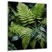 Gracie Oaks Ferns Vibrant Intricacy This - Floral & Botanical Metal Wall Decor Metal in Black/Green | 32 H x 24 W x 1 D in | Wayfair