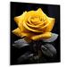 Bungalow Rose Black Rose Elegance III - Floral Metal Wall Art Living Room Metal in Yellow | 20 H x 12 W x 1 D in | Wayfair