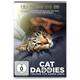 Cat Daddies - Freunde Für Sieben Leben (DVD)