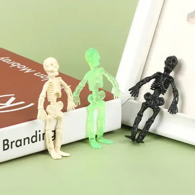 Mini Schädel Puppe Menschliches Skelett Halloween Dekorationen Skelett Zombie Spielzeug Ungiftig