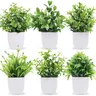 Piante artificiali 6 piante artificiali Decorative artificiali in vaso piante in vaso finte Mini