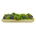 Primrue Succulent Floral Arrangements in Planter Polysilk | 6 H x 23 W x 9 D in | Wayfair FE0935E9C22C465E836ED3F08E0F2C75