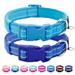 azuza 2 Pack Neoprene Padded Dog Collar for Small Dogs Reflective Dog Collar with ID Tag Ring Adjustable Safe and Comfy Dog Collars Royal Blue/Sky Blue S