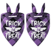 2 Pack Halloween Dog Bandana Reversible Triangle Bibs Scarf Accessories shape3