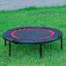 40 Foldable Mini Trampoline Max Load 450lbs Fitness Trampoline with Bungees Adjustable Foam Handle Indoor Exercise Trampoline for Adults Indoor Garden Workout Black