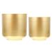 2 Pcs Outdoor Plant Planter Garden Iron Pot Gold Decor Brass Planters for Indoor Plants Flower Vase Desktop Hug Bucket