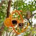 SDJMa Metal Hanging Oriole Bird Feeder with Fruit Holder Removable Drink Glass Drinking Grape Jelly Container Hummingbird Feeder for Outdoor Garden Patio Trunk Outside Orange