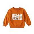 Ydojg Sweatshirts For Toddler Baby Tops Kids Girls Print Spring Autumn Long Sleeve Hoodie Clothes For 9-12 Months