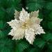 Namzi 3 Pcs Glitter Poinsettia 9 Artificial Flowers Christmas Stems Xmas Tree Ornaments for Wedding Party Wreath Decoration Gold white