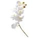 White Artificial Flowers Phalaenopsis Vase Fillers Fake Orchid Silk Orchids Stems Bouquet