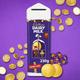 1 x Cadbury Dairy Milk Christmas Chocolate Coin & Robins Money Gift Tin 230g