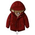 Winter Savings Clearance! Lindreshi Winter Coats for Toddler Girls and Boys Thickened Jackets For Toddlers Girls Boys Fleece Hoody Jackets Kids Zip up Outerwear Coat Toddler Kids Jacket Sweatshirt