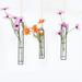 Creative Wall Hanging Flower Vase Iron Glass Hydroponics Planter Pot Transparent Hanging Flower Bottle Home Ornament Decoration