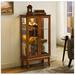 Alcott Hill® Cenia Lighted Curio Cabinet w/ Adjustable Shelves & Mirrored Back Panel, not included bulb Wood in Brown | Wayfair
