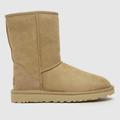 UGG classic short ii boots in mustard seed